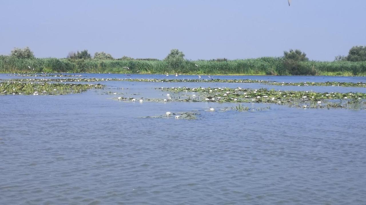 Gorgova Delta Village Exterior photo